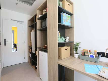 Estudio en alquiler en Sevilla