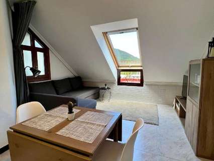 Estudio en alquiler en Val de San Vicente
