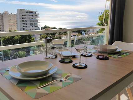 Estudio en alquiler en Palma de Mallorca