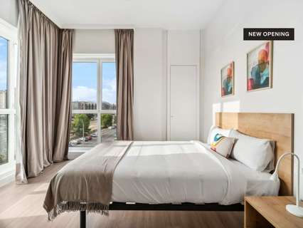 Estudio en alquiler en Madrid