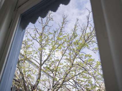 Piso en alquiler en Madrid rebajado