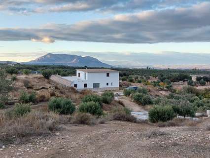 Apartamento en alquiler en Caniles