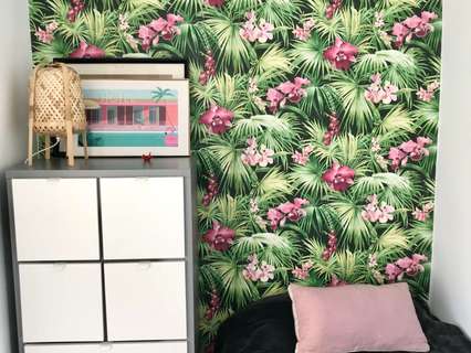 Piso en alquiler en Madrid