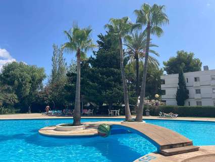 Estudio en alquiler en Alcúdia