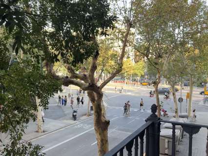 Apartamento en alquiler en Barcelona