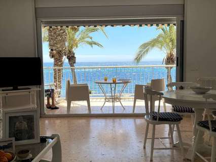 Apartamento en alquiler en Torrevieja