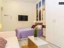 Estudio en alquiler en Madrid