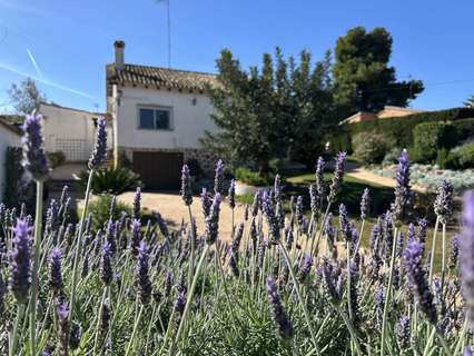 Apartamento en alquiler en L'Eliana