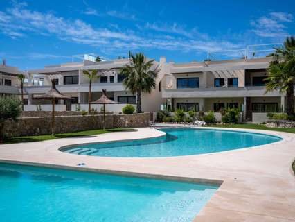 Apartamento en alquiler en Torrevieja