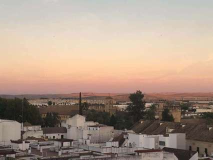 Apartamento en alquiler en Córdoba