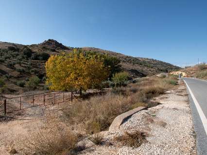 Parcela rústica en venta en La Peza