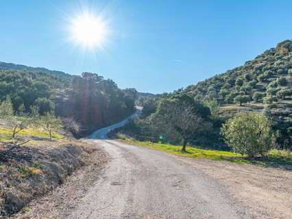 Parcela rústica en venta en Alcaudete rebajada