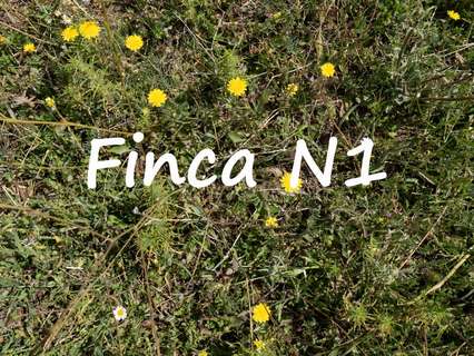 Parcela rústica en venta en Soportújar