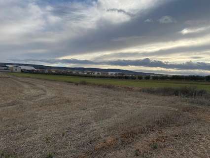 Parcela rústica en venta en La Malahá