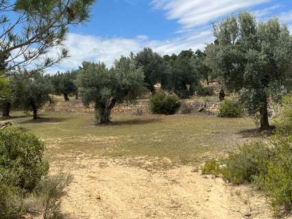 Casa rústica en venta en Cretas