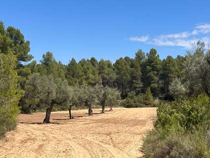 Casa rústica en venta en Cretas