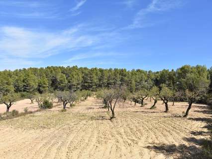 Casa rústica en venta en Arens de Lledó