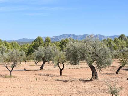 Casa rústica en venta en Arens de Lledó