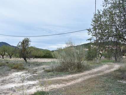 Parcela rústica en venta en Valderrobres