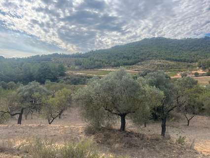 Casa rústica en venta en Horta de Sant Joan