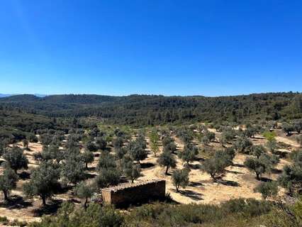 Casa rústica en venta en Calaceite