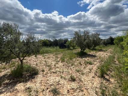 Casa rústica en venta en La Fresneda