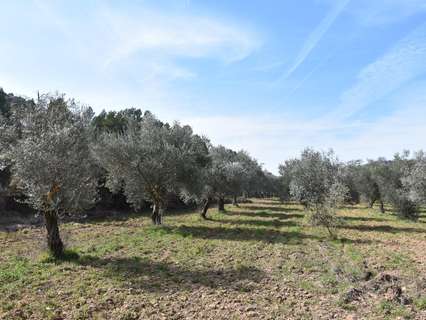 Casa rústica en venta en La Fresneda