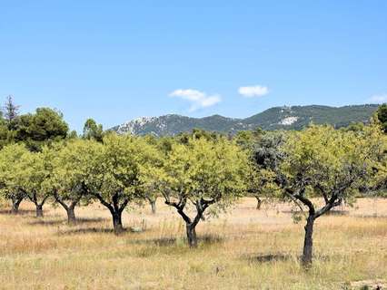 Casa rústica en venta en Fuentespalda