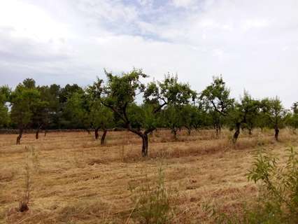 Casa rústica en venta en Arens de Lledó