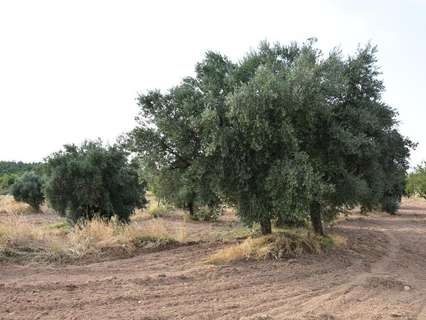 Casa rústica en venta en La Fresneda