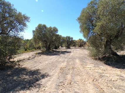 Casa rústica en venta en Calaceite