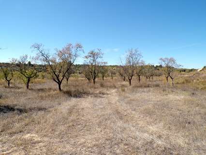 Casa rústica en venta en Calaceite