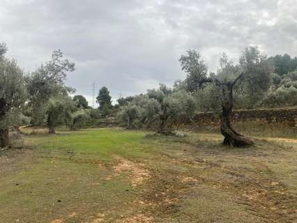 Casa rústica en venta en Valderrobres