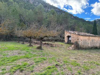 Casa rústica en venta en Beceite rebajada