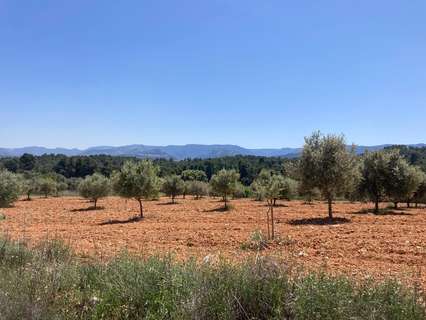 Casa rústica en venta en Cretas