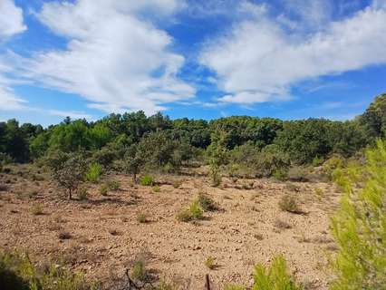 Casa rústica en venta en Ráfales