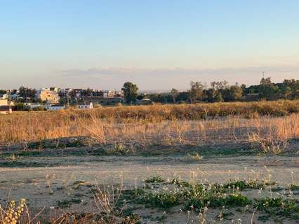 Parcela rústica en venta en Burguillos