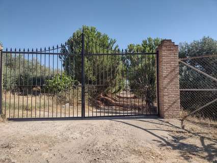Chalet en venta en Cantillana