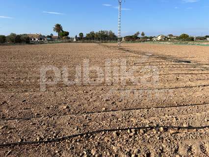 Parcela rústica en venta en Elche/Elx zona Las Bayas