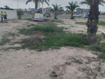 Parcela rústica en venta en Elche/Elx
