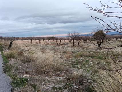 Parcela rústica en venta en Oria