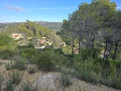 Parcela urbana en venta en Valencia zona Carcaxient