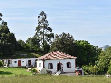 Parcela rústica en venta en Camargo rebajada