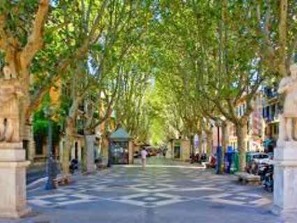 Local comercial en venta en Palma de Mallorca