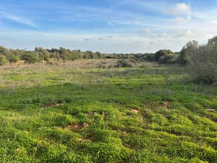Parcela rústica en venta en Santanyí