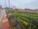 Parcela rústica en venta en Murcia