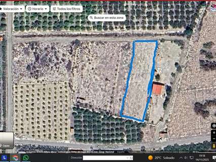 Parcela rústica en venta en Fortuna