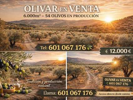 Parcela rústica en venta en Santisteban del Puerto