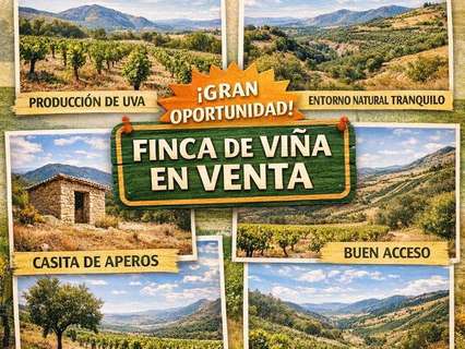 Parcela rústica en venta en Frailes