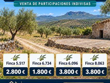 Parcela rústica en venta en Jaén